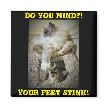 Funny Cats Fridge Magnet