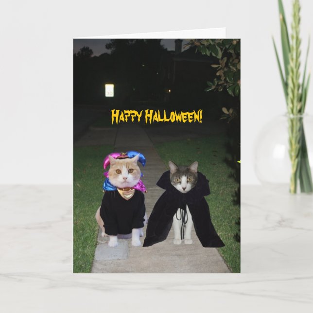 Funny Cats Halloween Karte (Vorderseite)