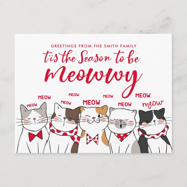 Funny Cats Jahreszeit zum Frohen Urlaub Gruß sein Postkarte (Vorderseite)