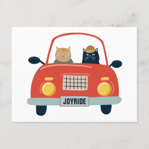 Funny Cats Joyrie in Cat Car Car Postcard Postkarte