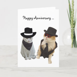 Funny Cats Jubiläum Karte