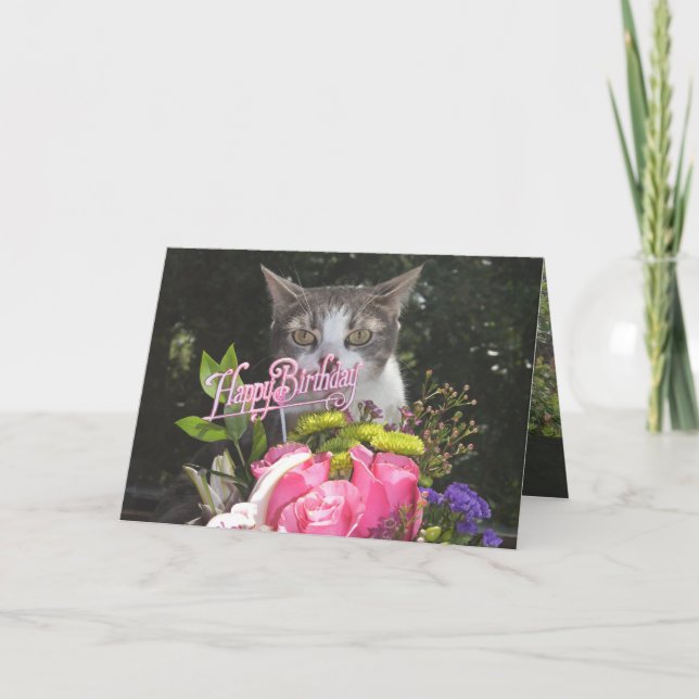 Funny Cats/Kätzchen Happy Birthday Estranple Karte (Vorderseite)