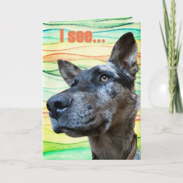 Funny Cattle Hund Head Foto farbenfroh Hintergrund Karte (Vorderseite)