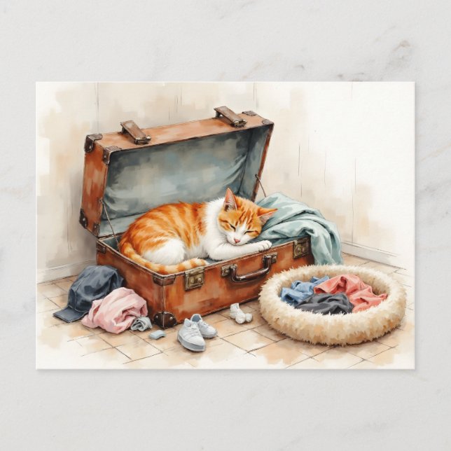 Funny Change of Address from Orange Cat Postkarte (Vorderseite)