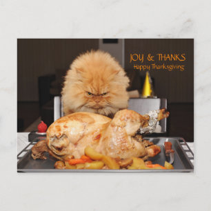 Funny Chat Thanksgiving carte postale