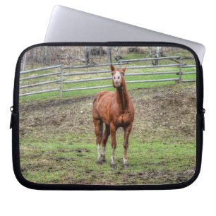 Funny Chestnut Stallion Horse Foto Laptopschutzhülle
