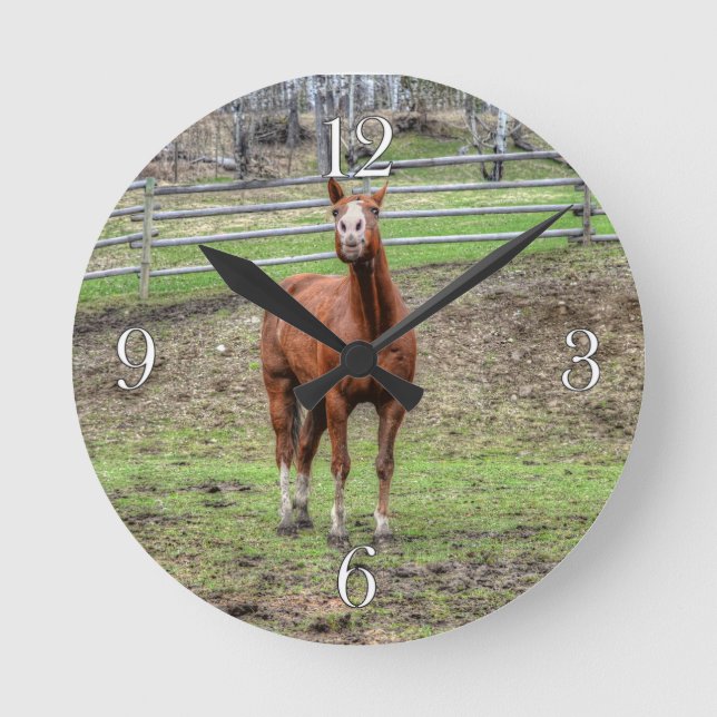 Funny Chestnut Stallion Horse Foto Runde Wanduhr (Vorderseite)