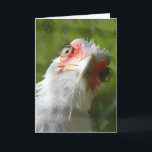 FUNNY CHICKEN MOTHER CLUCKER BIRTHDAY CARD KARTE<br><div class="desc">HAPPY BIRTHDAY MUTTER CLUCKER</div>