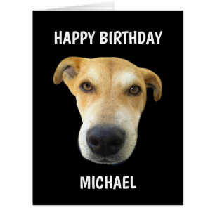 Funny Chien photo Anniversaire Grande carte person