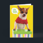 Funny Chihuahu Hund mit Lisp Belated Birthday Card Karte<br><div class="desc">Ouuuuuuuuuuuuuuuuuuuuuuuuuuuuch! Du hast jemandes Geburtstag vergessen. Man kann es mit dieser niedlichen Karte eines Chihuahua mit einem roten Pullover ersetzen, und ihre Pfoten auf einer farbenfrohen Geschenkboxen. Die Zunge des Hundes bleibt hängen, und sie sieht ein wenig gestresst aus, während sie sich daran erinnert, dass sie den Geburtstag des Empfängers...</div>