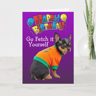Funny Chihuahua carte d'anniversaire pour chien
