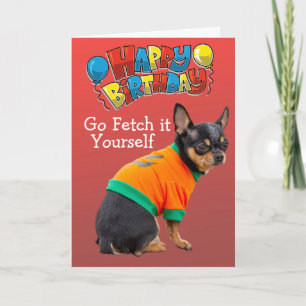 Funny Chihuahua Hund Geburtstagkarte Karte