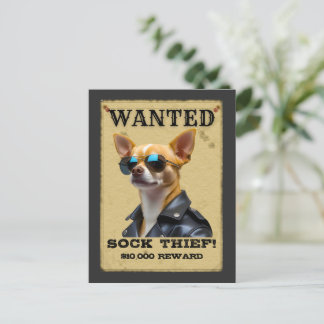 Funny Chihuahua WANTED Poster with Cool Sunglasses Postkarte