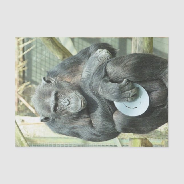 FUNNY CHIMP SEIDENPAPIER (Vorderseite)