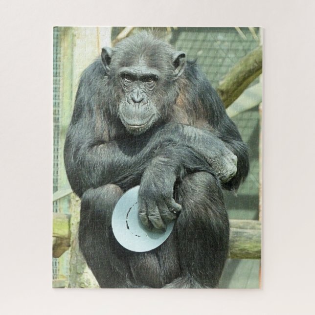FUNNY CHIMPANZEE (Vertikal)