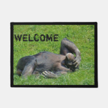 Funny Chimpanzee Foto Willkommen