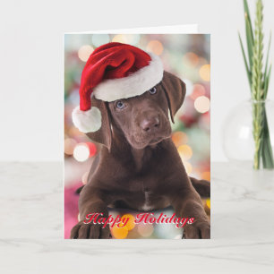 Funny Chocolate Labrador Welpe mit Weihnachtsmannm Feiertagskarte