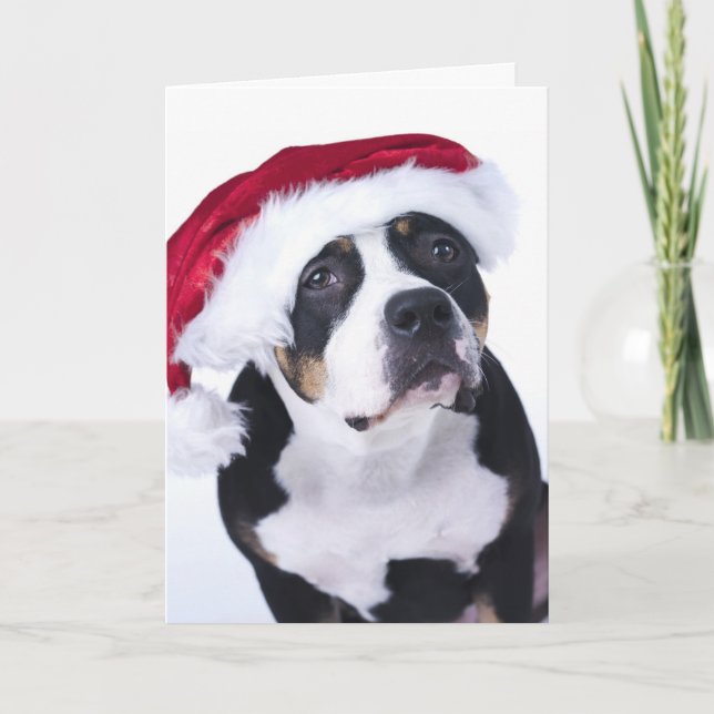 Funny Christmas Card Feiertagskarte (Vorderseite)