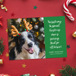 Funny Christmas Cheer Dog Foto Feiertagskarte<br><div class="desc">Diese lustige Begleiter-Foto-Urlaubskarte lautet: "Der beste Weg Weihnachtsjubeln zu verbreiten ist laut zu bellen für alle zu hören", etwas, bei dem meine Hunde sicher hervorragend sind! Die Hintergrundfarbe (in hellgrün dargestellt) kann an jede gewünschte Farbe angepasst werden. Auf der Rückseite befindet sich ein passendes Design aus überlagerten Weihnachtsbäumen. Dieses helle,...</div>