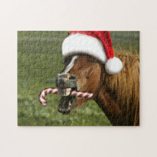 Funny Christmas horse with Santa Smiling