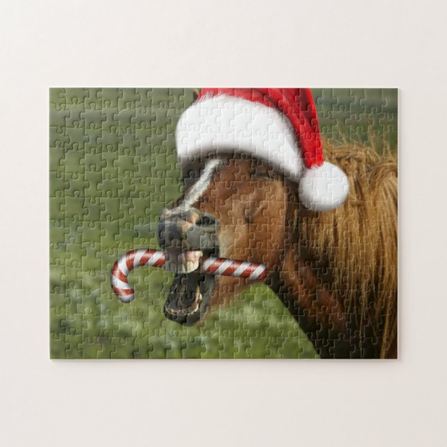 Funny Christmas horse with Santa Smiling (Horizontal)