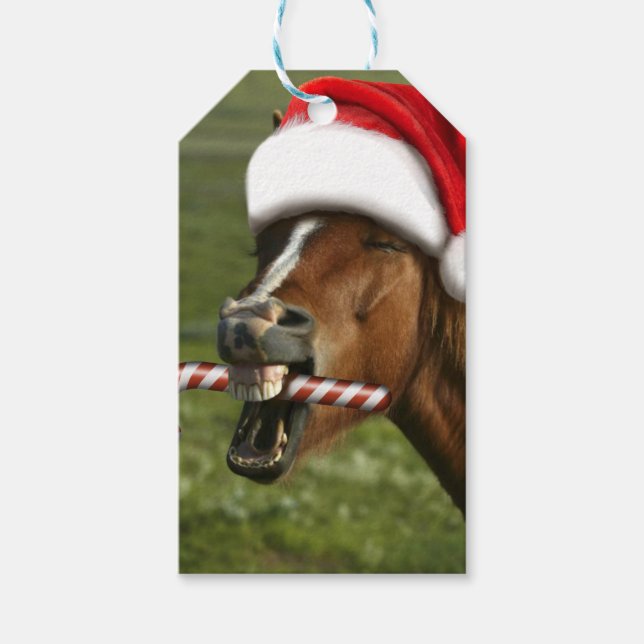 Funny Christmas horse with Santa Smiling Geschenkanhänger (Vorderseite)
