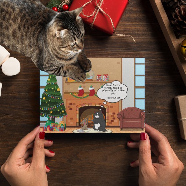 Funny Christmas Humour Bah Hum Cat Holiday Carte p (Créateur téléchargé)