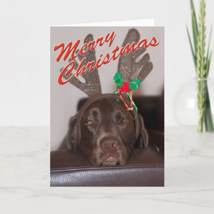 Funny Christmas Labrador mit Glitzer Antler Feiertagskarte