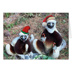 Funny Christmas Lemurs Greeting Card