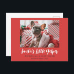 Funny Christmas Niedlich Pet Foto Red White Feiertagspostkarte<br><div class="desc">Diese witzigen und niedlichen 4, 25 x 5, 6" Ferienpostkarten haben einen Single voller bleichtem Foto auf einem roten Hintergrund mit einem doppelten Gruß,  "Santa's Little Yelper",  darunter "Möchten Sie eine laute Nacht."</div>