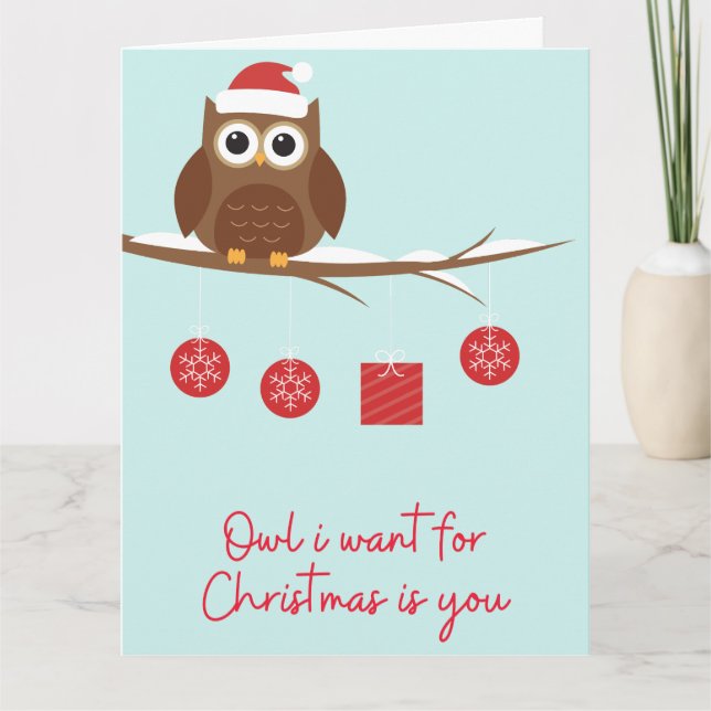 Funny Christmas Owl Karte (Vorderseite)
