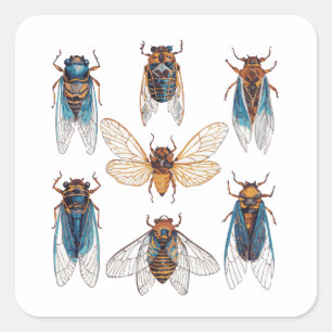 Funny Cicadas Insect Bug Graphic Cicada Lover Quadratischer Aufkleber