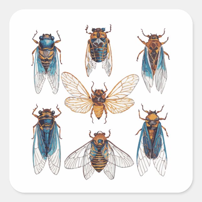 Funny Cicadas Insect Bug Graphic Cicada Lover Quadratischer Aufkleber (Vorderseite)