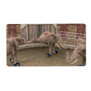 Funny Circus Elephants