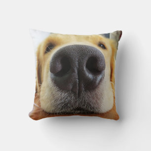 FUNNY CLOSEUP CHIEN PHOTO COUSSINS