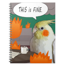 Funny Cockatiel Meme Dies ist ein schönes Chaos im