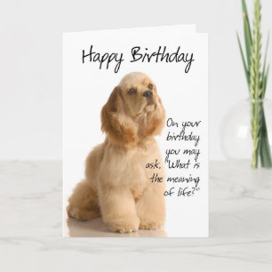 Funny Cocker Spanel Birthday Card Karte