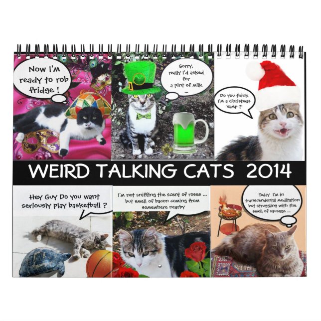 FUNNY COMIC STRIPS VON WEIRD TALKING CATS 2014 KALENDER (Titelbild)