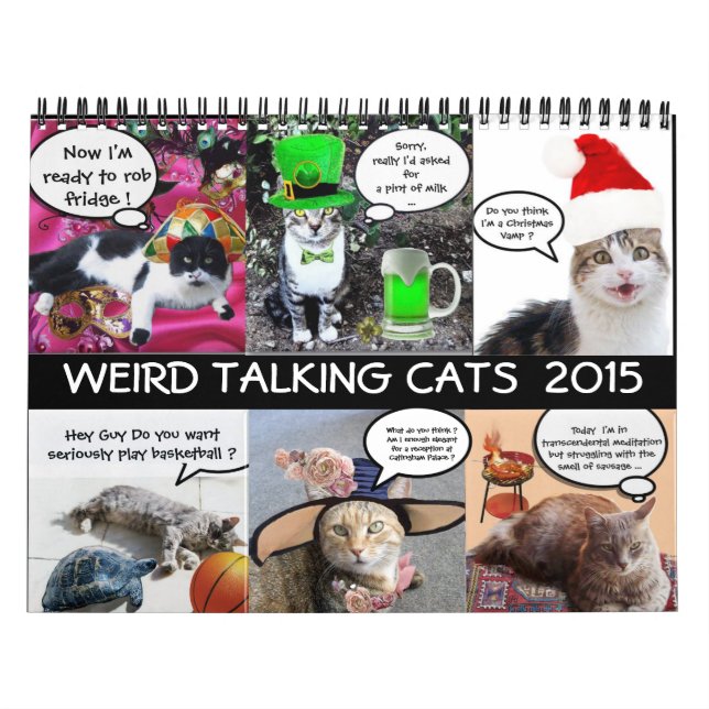 FUNNY COMIC STRIPS VON WEIRD TALKING CATS 2015 KALENDER (Titelbild)