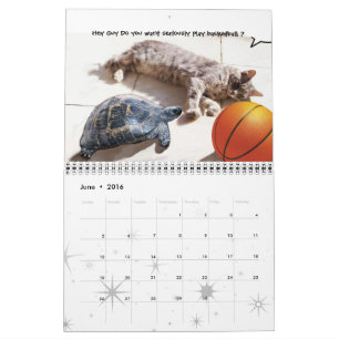 FUNNY COMIC STRIPS VON WEIRD TALKING CATS 2015 KALENDER