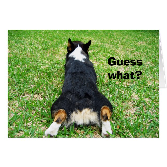 Funny Corgi Butt Devine Quelle carte d'Humour (Devant horizontal)