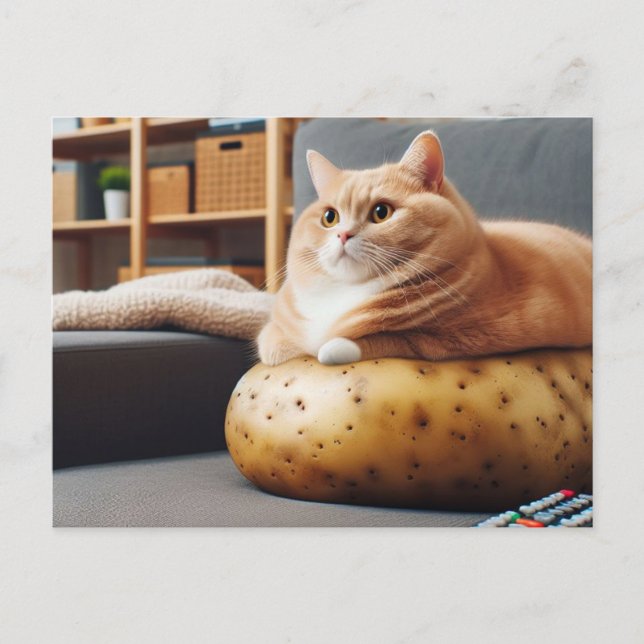Funny Couch Potato Cat Postkarte (Vorderseite)