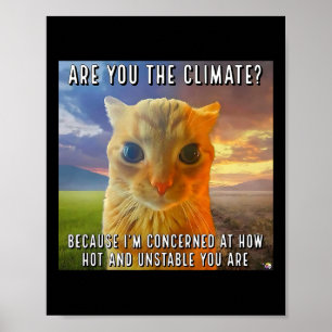 Funny Couple Valentine Orange Cat Meme sind Sie Poster