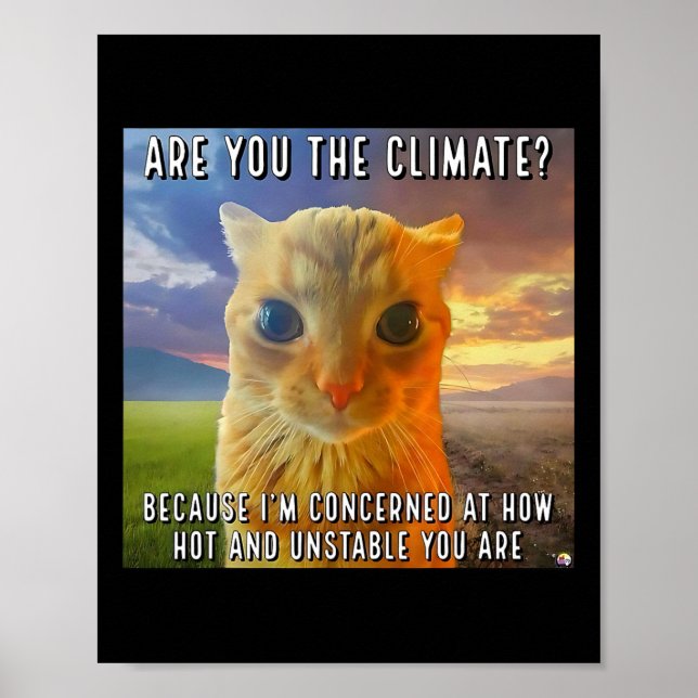 Funny Couple Valentine Orange Cat Meme sind Sie Poster (Vorne)