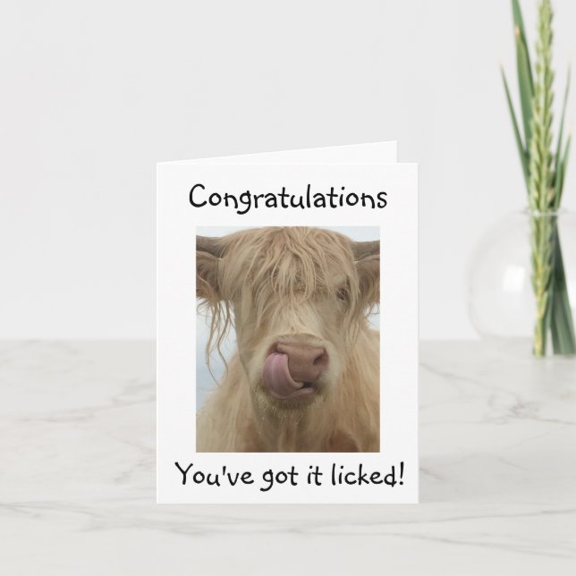 Funny Cow Glückwunschkarte Karte (Vorderseite)