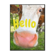 Funny Cow Hallo