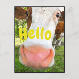 Funny Cow Hallo Postkarte