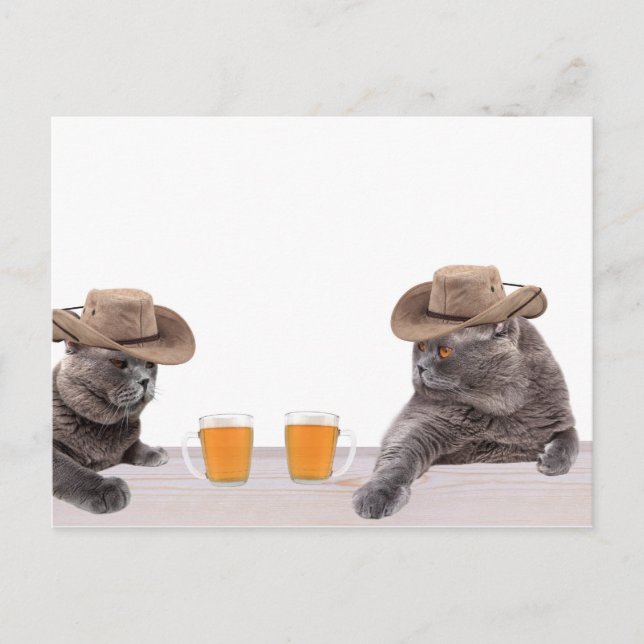 Funny Cowboy Katzen trinken Bier Postkarte (Vorderseite)