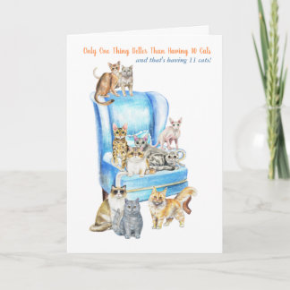 Funny Crazy Cat Lady Carte d'anniversaire - Regard
