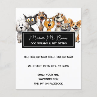 Funny Crazy Cats Hunde Haustiere Sitter Modernes W Flyer